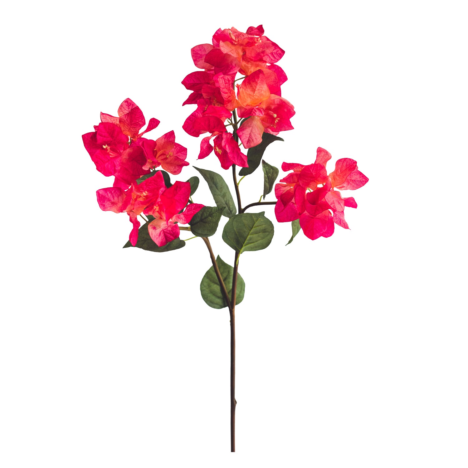 Bugambilia 85cm Le Bouquet Flores