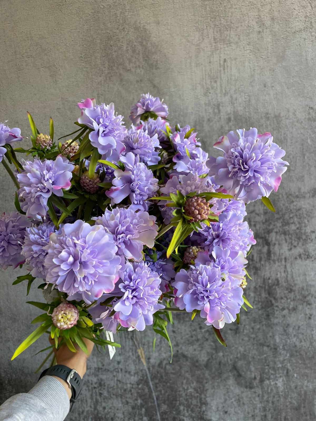 Escabiosa lila 71 cm