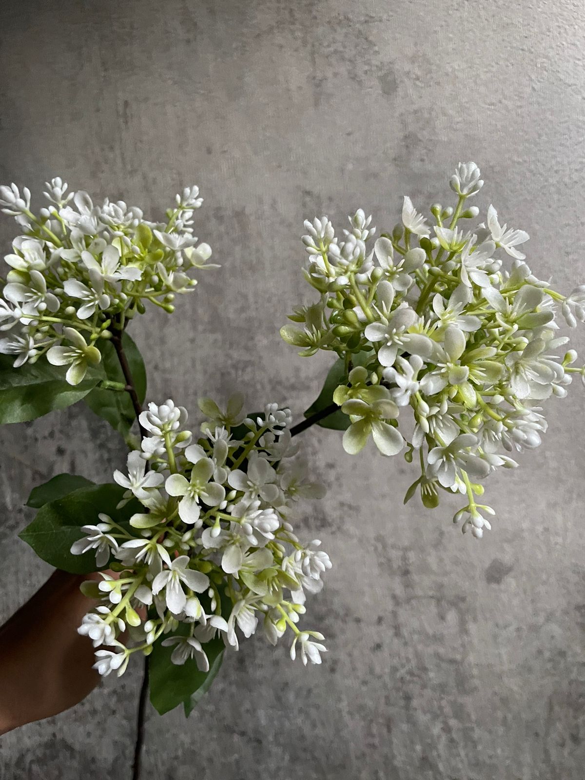 Lila color blanco 81 cm