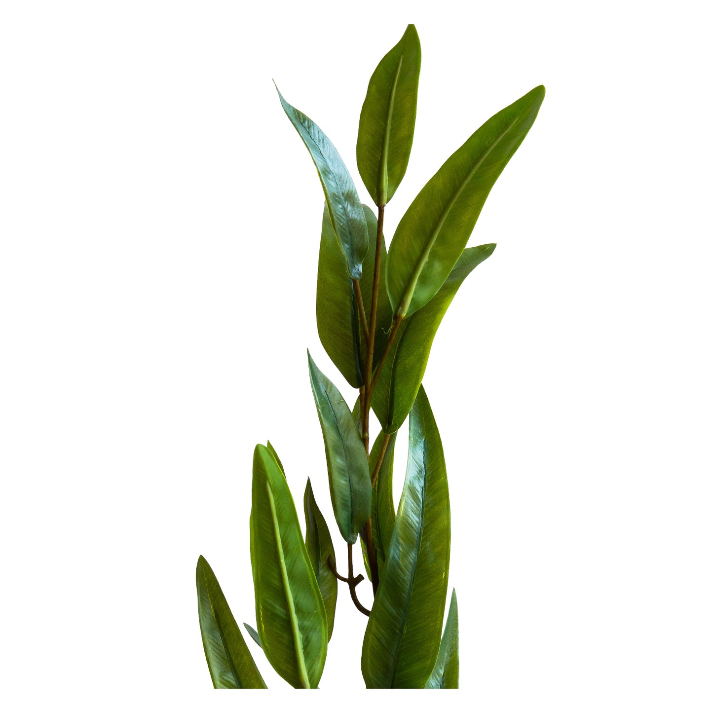 follaje silvestre 100 cm