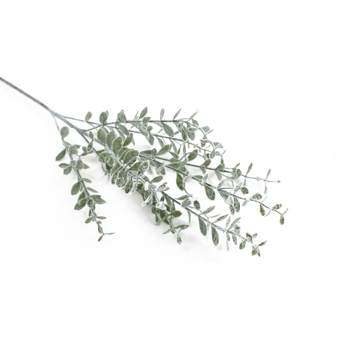 Follaje Boxwood 77 cm