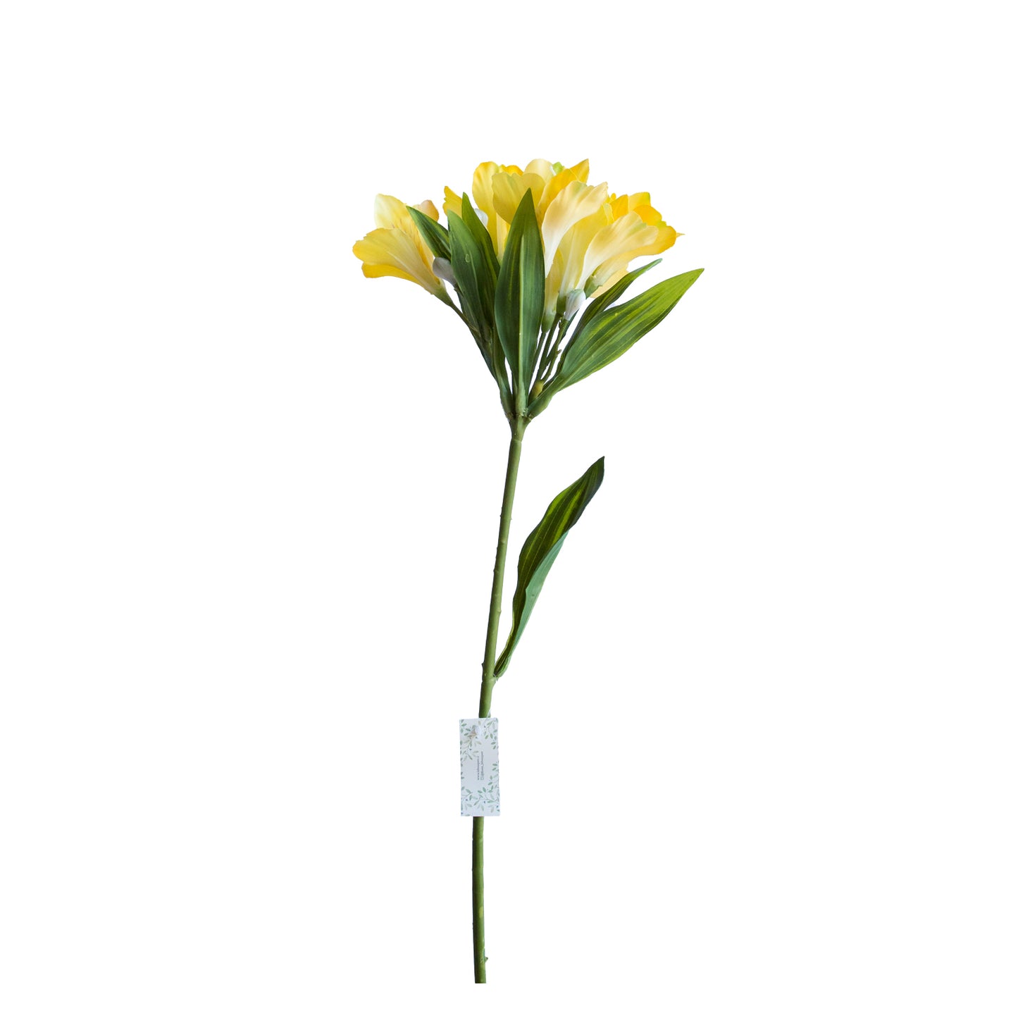 Astromelia Amarilla 61 cm