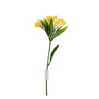 Astromelia Amarilla 61 cm