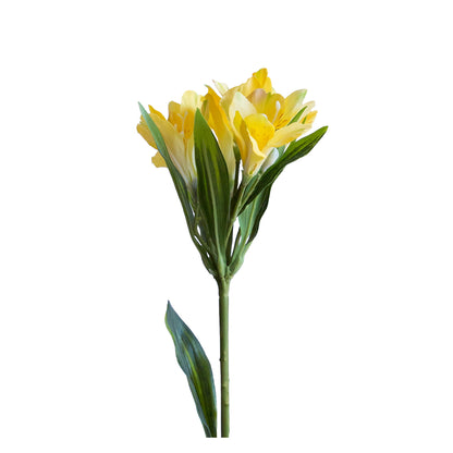 Astromelia Amarilla 61 cm