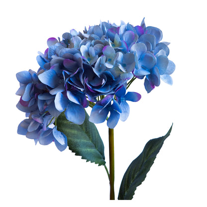 Hortensia azul 62 cm