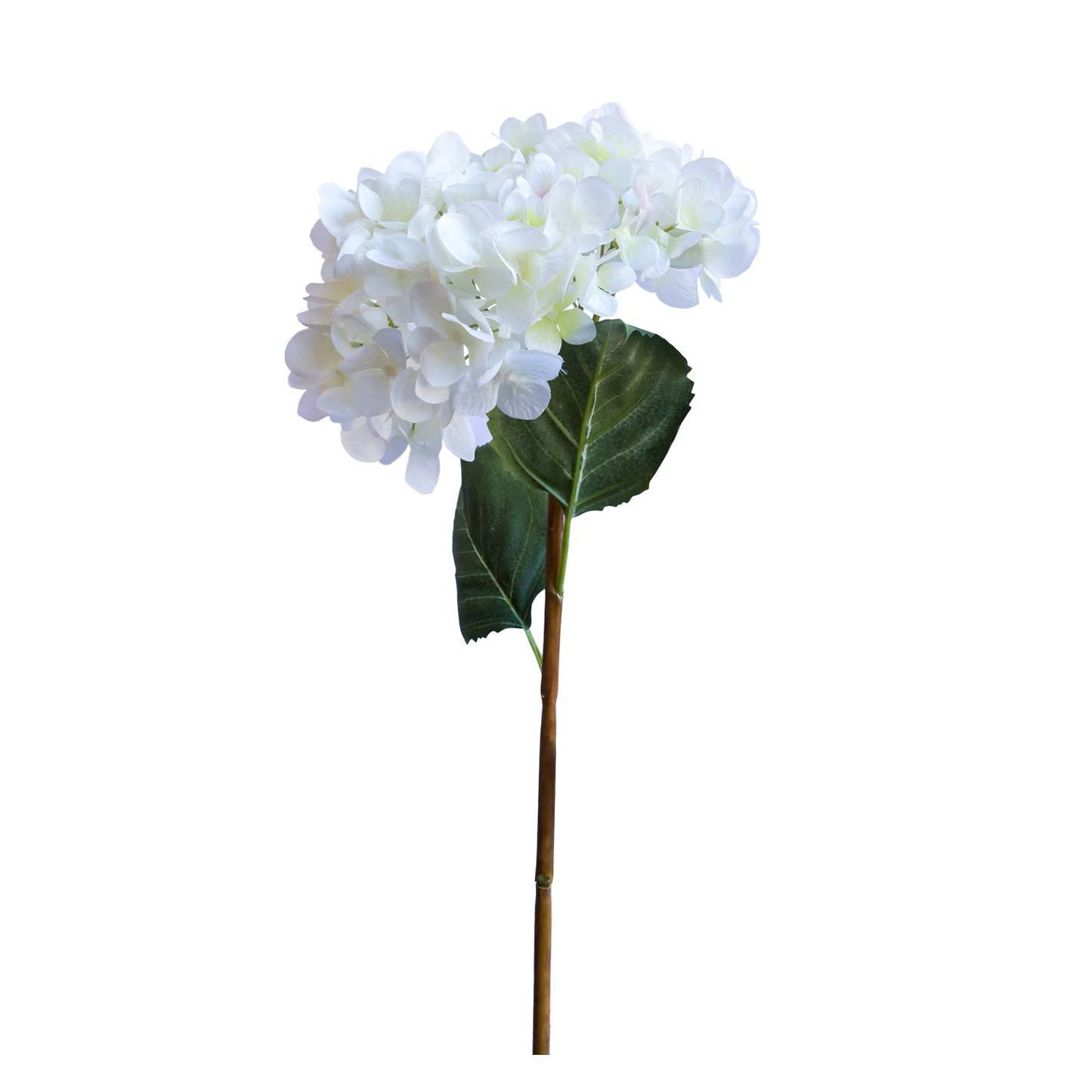 Hortensia blanca 62 cm