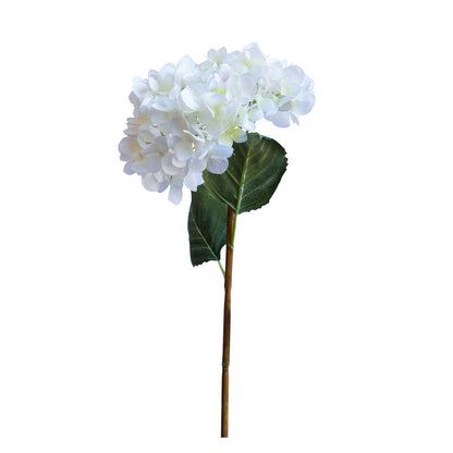 Hortensia blanca 62 cm