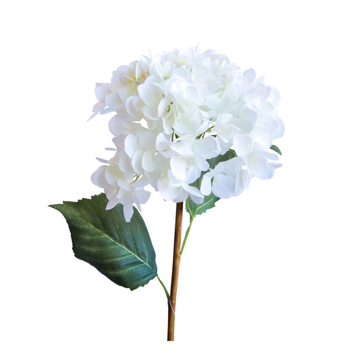 Hortensia blanca 62 cm