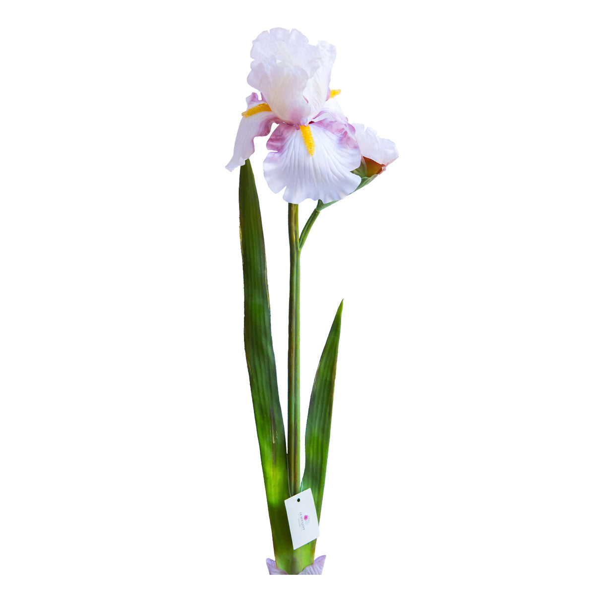 Lirio Blanco 65 cm