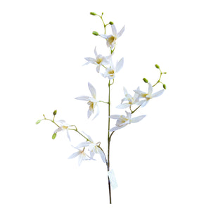 Orquídea Africana 84 cm