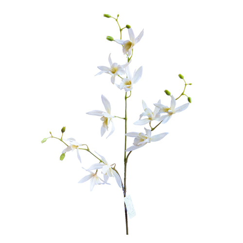 Orquídea Africana 84 cm