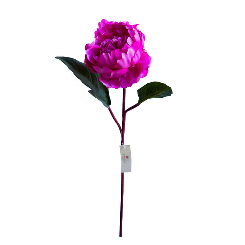 Peonia - Fucsia 66 cm