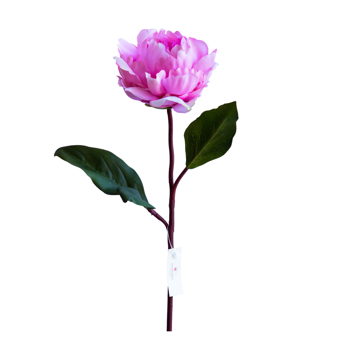 Peonia - Rosada 66 cm
