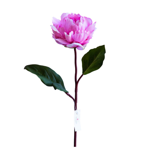 Peonia - Rosada 66 cm