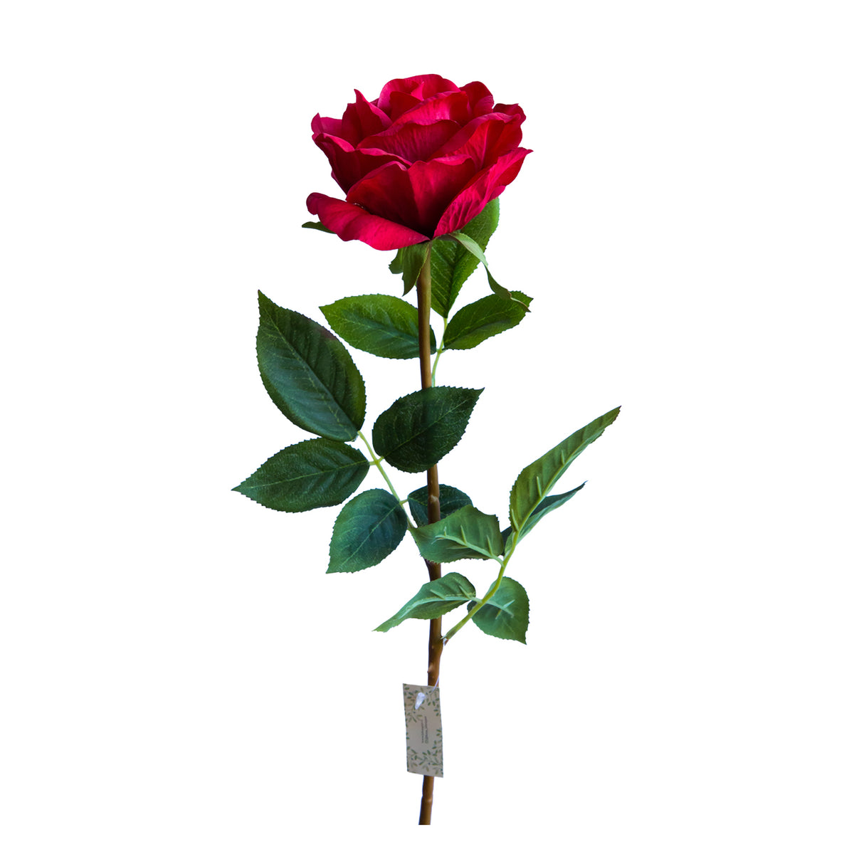 Rosa Roja 71 cm