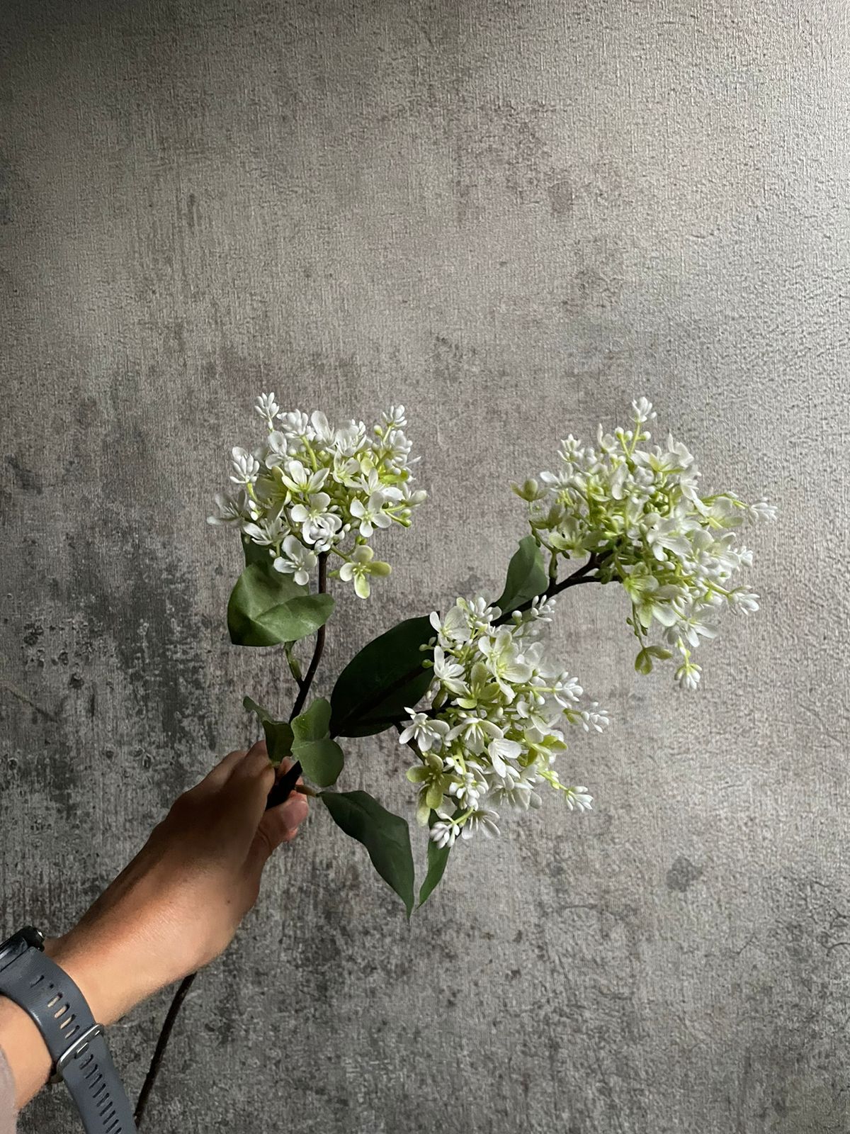 Lila color blanco 81 cm