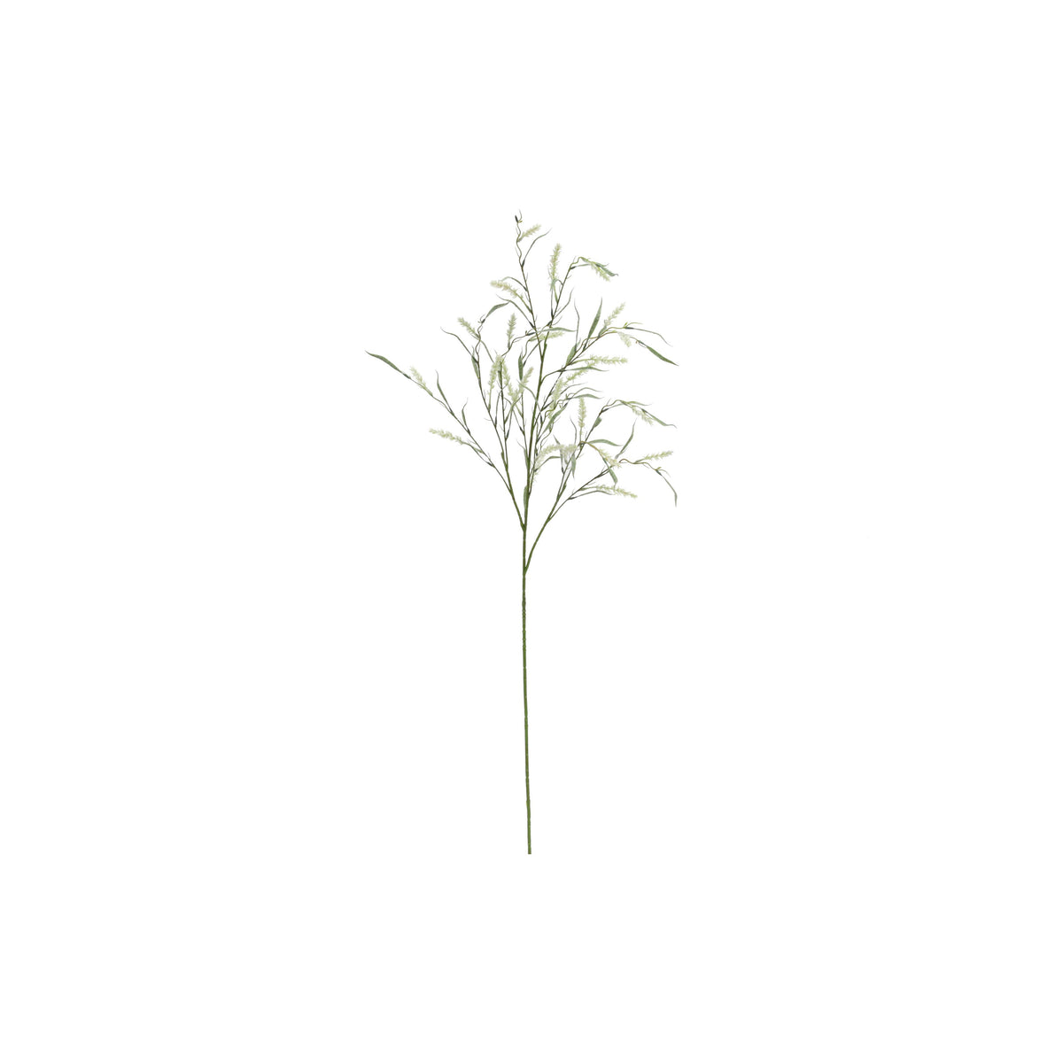 Foxtail 119 cm