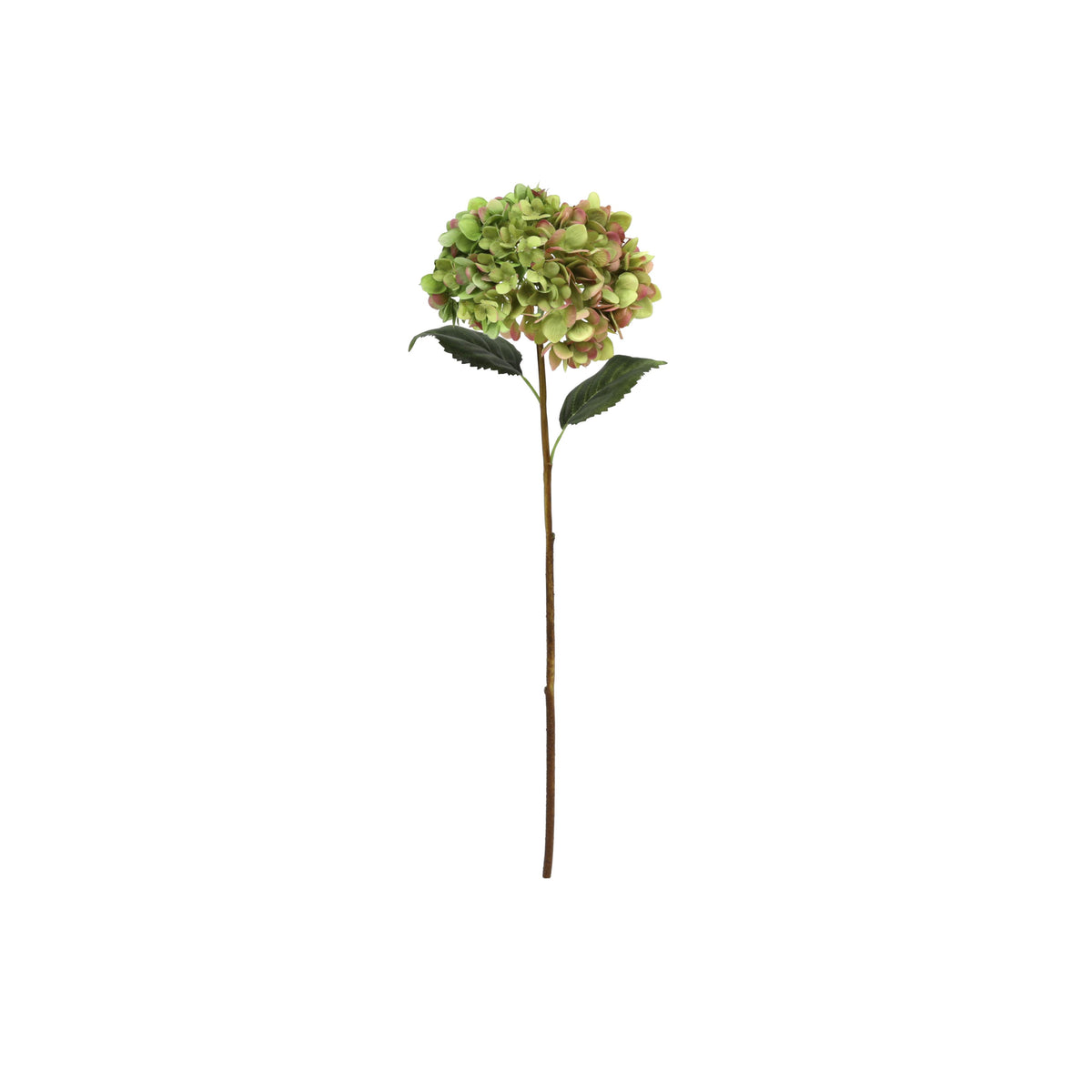 Hortensia Verde 66 cm