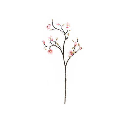 Magnolia Rosada 90 cm