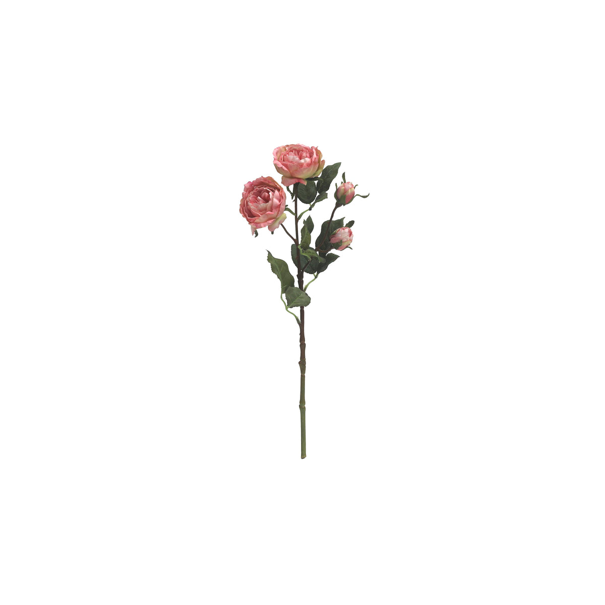 Mini rosa 44 cm