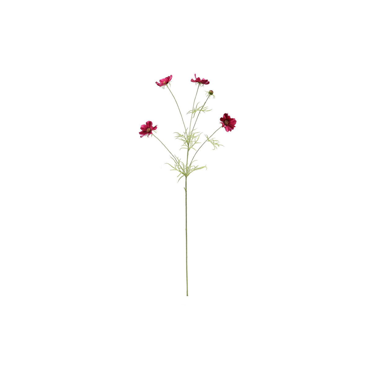 Cosmo 84 cm