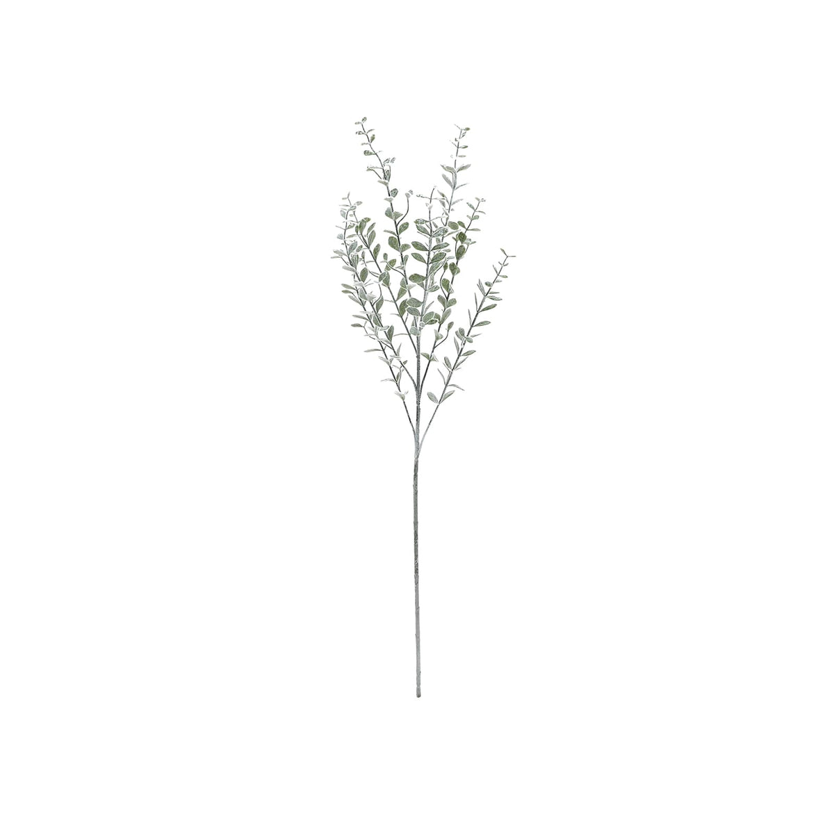Follaje Boxwood 77 cm