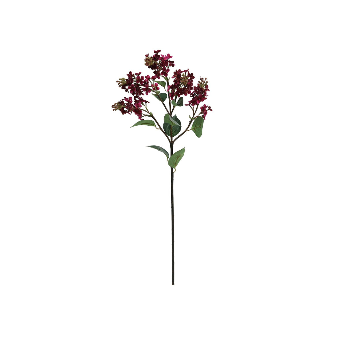 Lila 80 cm